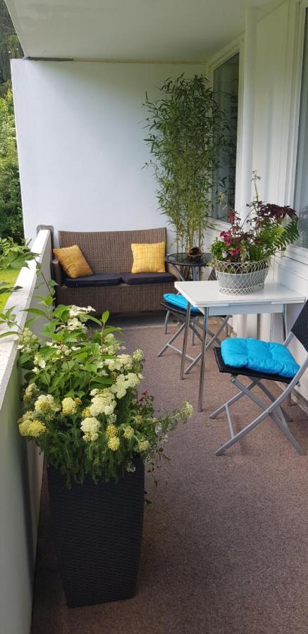 Grossdorf Ferienwohnung Waldsuite Im Harz Goslar Exterior photo